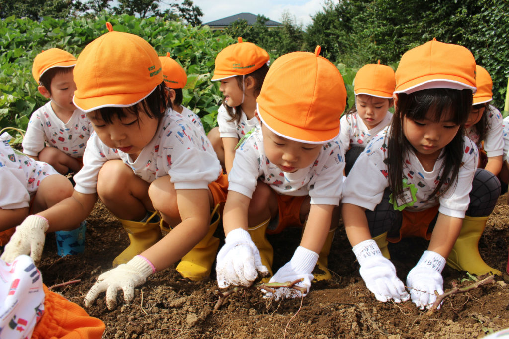 農園で野菜を収穫している子供たち。皆、オレンジ色の帽子をかぶり、集中して土を掘っている。